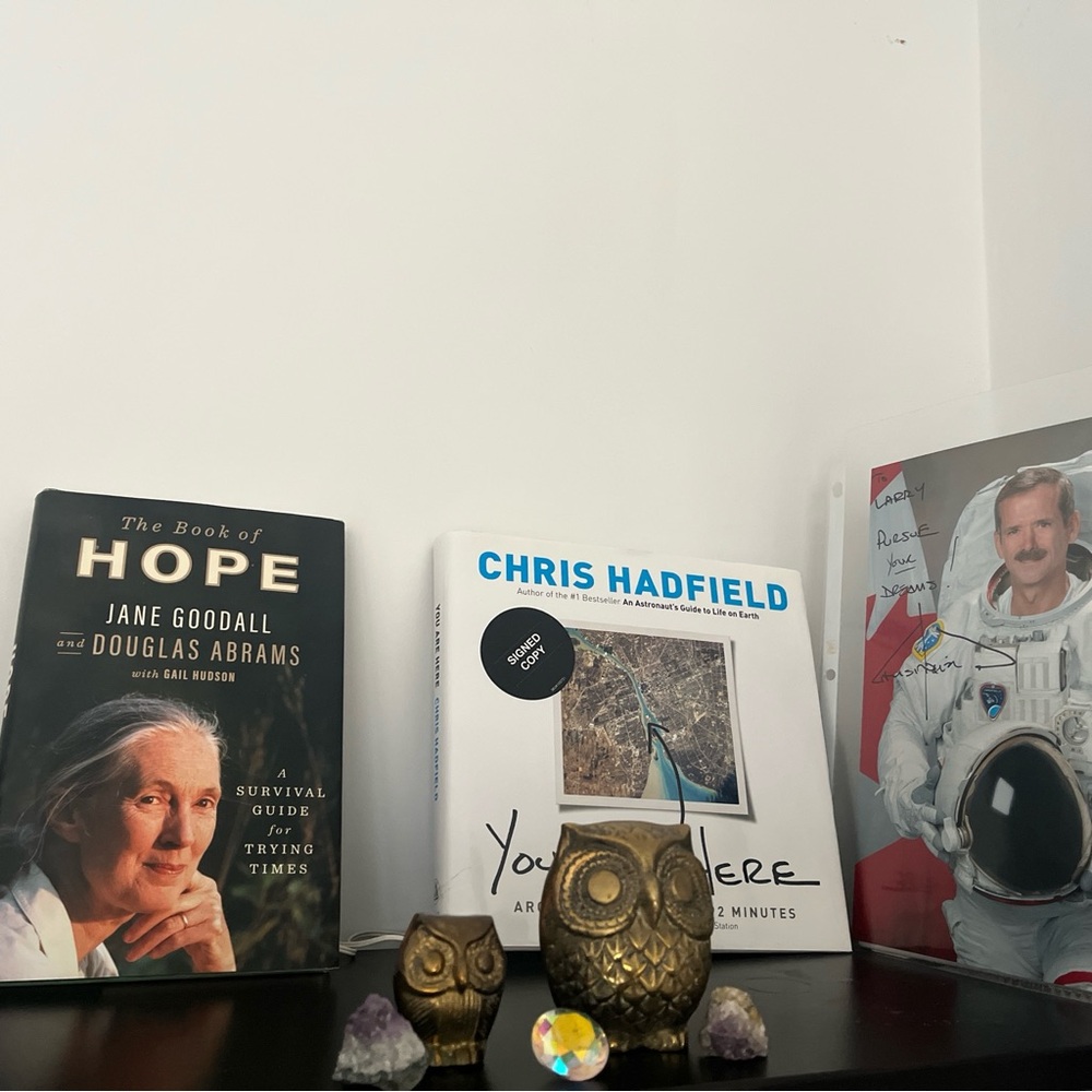 CHRIS HADFIELD Canadian Astronaut NASA Canada Flag PURSUE UR DREAM SIGNED Space - Picture 3 of 4